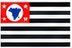 Bandeira São Paulo
